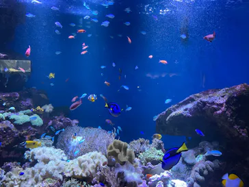 仙台うみの杜水族館に投稿された画像（2024/7/15）