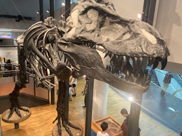 福井県立恐竜博物館に投稿された画像（2024/7/15）