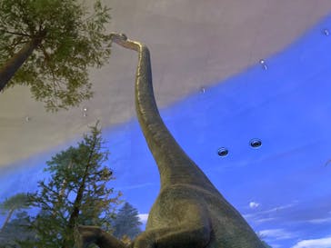 福井県立恐竜博物館に投稿された画像（2024/7/15）