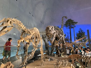 福井県立恐竜博物館に投稿された画像（2024/7/15）