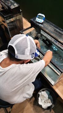 淡路ファームパーク イングランドの丘に投稿された画像（2024/7/15）