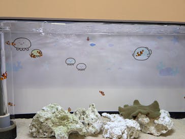 アクアワールド茨城県大洗水族館に投稿された画像（2024/7/15）