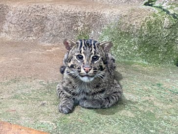 神戸どうぶつ王国に投稿された画像（2024/7/15）