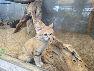 神戸どうぶつ王国に投稿された画像（2024/7/15）