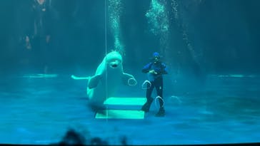 島根県立 しまね海洋館に投稿された画像（2024/7/15）