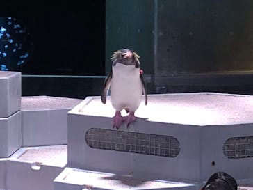 AOAO SAPPOROに投稿された画像（2024/7/15）