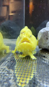 浜名湖体験学習施設ウォットに投稿された画像（2024/7/15）