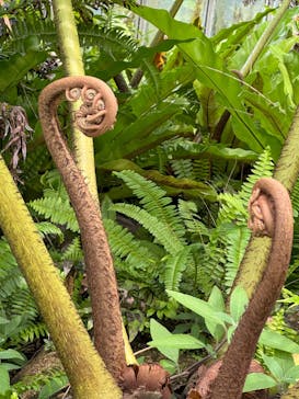 アロハガーデンたてやまに投稿された画像（2024/7/15）