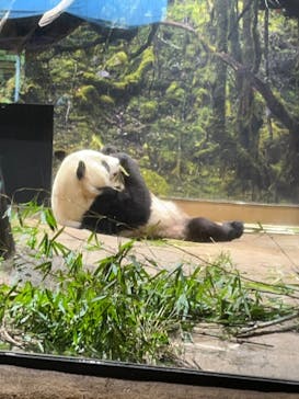 恩賜上野動物園に投稿された画像（2024/7/15）