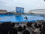 名古屋港水族館に投稿された画像（2024/7/15）