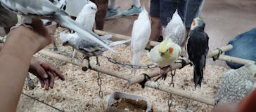 いきもの探検隊上尾に投稿された画像（2024/7/15）