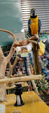 いきもの探検隊上尾に投稿された画像（2024/7/15）