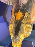 巨大恐竜展2024に投稿された画像（2024/7/15）