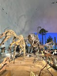 福井県立恐竜博物館に投稿された画像（2024/7/15）