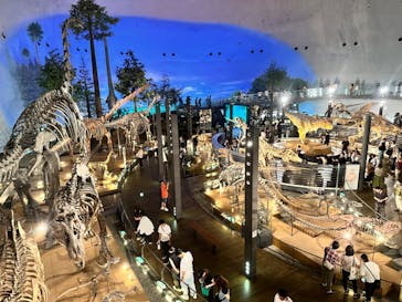 福井県立恐竜博物館に投稿された画像（2024/7/15）