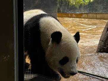 恩賜上野動物園に投稿された画像（2024/7/15）