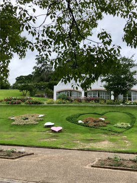 淡路ファームパーク イングランドの丘に投稿された画像（2024/7/15）