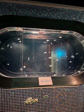 東京ドーム天然温泉 スパ ラクーアに投稿された画像（2024/7/15）