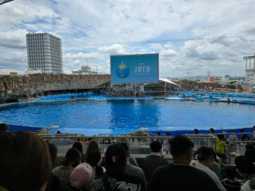 名古屋港水族館に投稿された画像（2024/7/15）