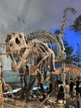 福井県立恐竜博物館に投稿された画像（2024/7/15）