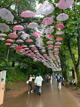 ムーミンバレーパークに投稿された画像（2024/7/15）