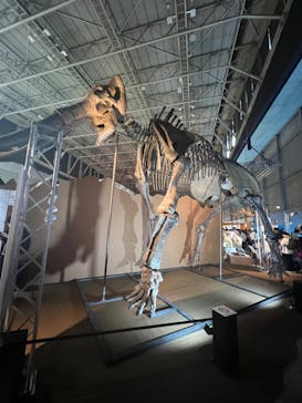 巨大恐竜展2024に投稿された画像（2024/7/15）