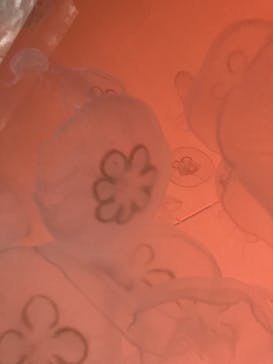 アクアワールド茨城県大洗水族館に投稿された画像（2022/8/30）