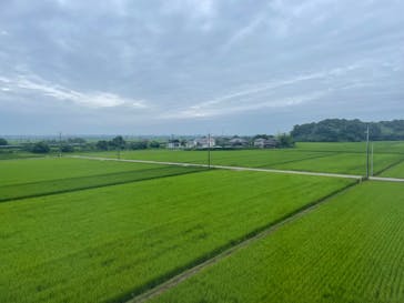 成田の命泉　大和の湯に投稿された画像（2024/7/15）