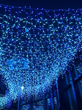 東京タワーに投稿された画像（2024/7/15）