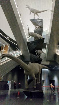 福井県立恐竜博物館に投稿された画像（2024/7/15）