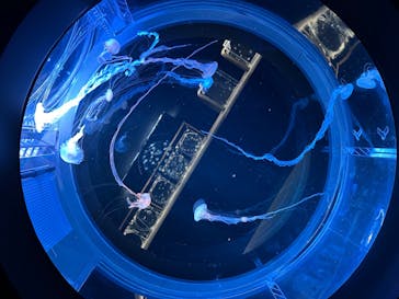 AOAO SAPPOROに投稿された画像（2024/7/15）