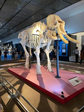 大哺乳類展に投稿された画像（2024/7/15）