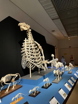 大哺乳類展に投稿された画像（2024/7/15）