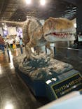 福井県立恐竜博物館に投稿された画像（2024/7/15）