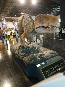 福井県立恐竜博物館に投稿された画像（2024/7/15）