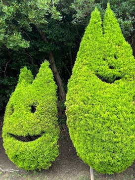 淡路ファームパーク イングランドの丘に投稿された画像（2024/7/15）