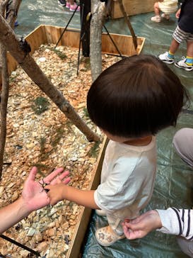 秋田ふるさと村に投稿された画像（2024/7/15）