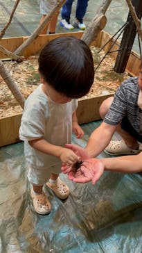 秋田ふるさと村に投稿された画像（2024/7/15）