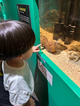 秋田ふるさと村に投稿された画像（2024/7/15）