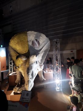 巨大恐竜展2024に投稿された画像（2024/7/15）
