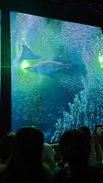 マリンワールド海の中道に投稿された画像（2024/7/15）