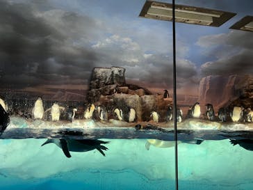 名古屋港水族館に投稿された画像（2024/7/15）