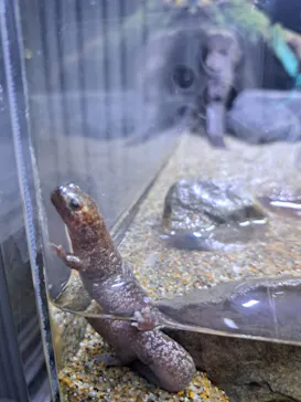 すみだ水族館に投稿された画像（2024/7/15）