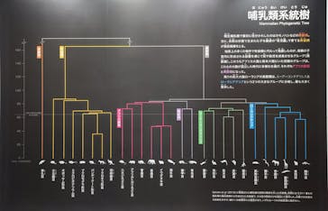 大哺乳類展に投稿された画像（2024/7/15）