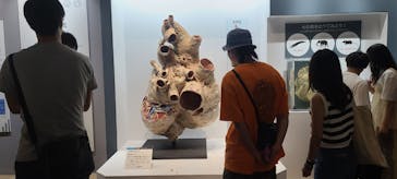 大哺乳類展に投稿された画像（2024/7/15）