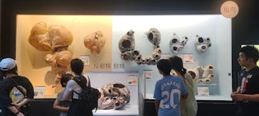 大哺乳類展に投稿された画像（2024/7/15）