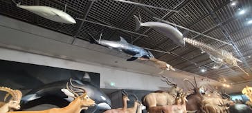 大哺乳類展に投稿された画像（2024/7/15）