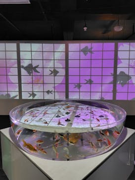 NARA KINGYO MUSEUMに投稿された画像（2024/7/15）