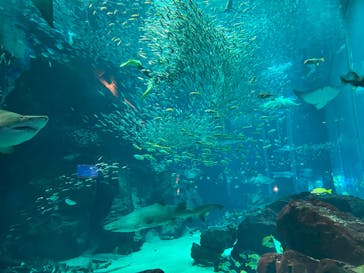 マリンワールド海の中道に投稿された画像（2024/7/15）