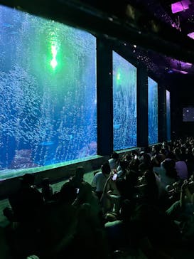 マリンワールド海の中道に投稿された画像（2024/7/15）